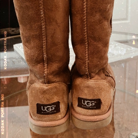 UGG Shoes - Tall UGG boots size 6